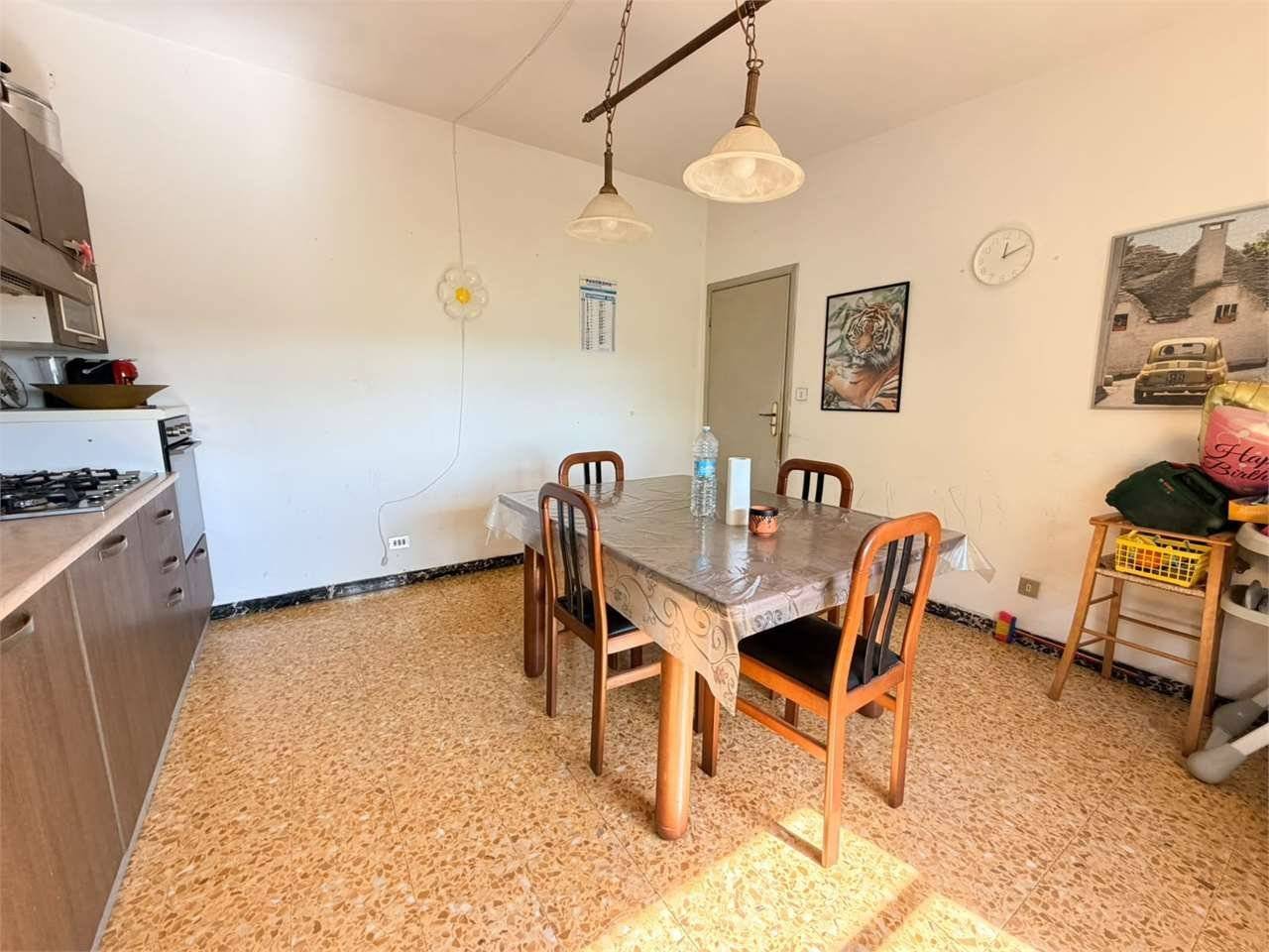  - foto 5