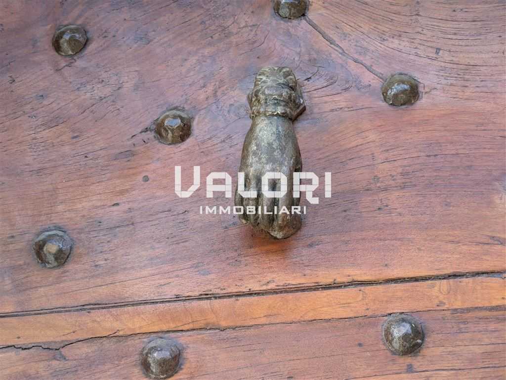  - foto 19