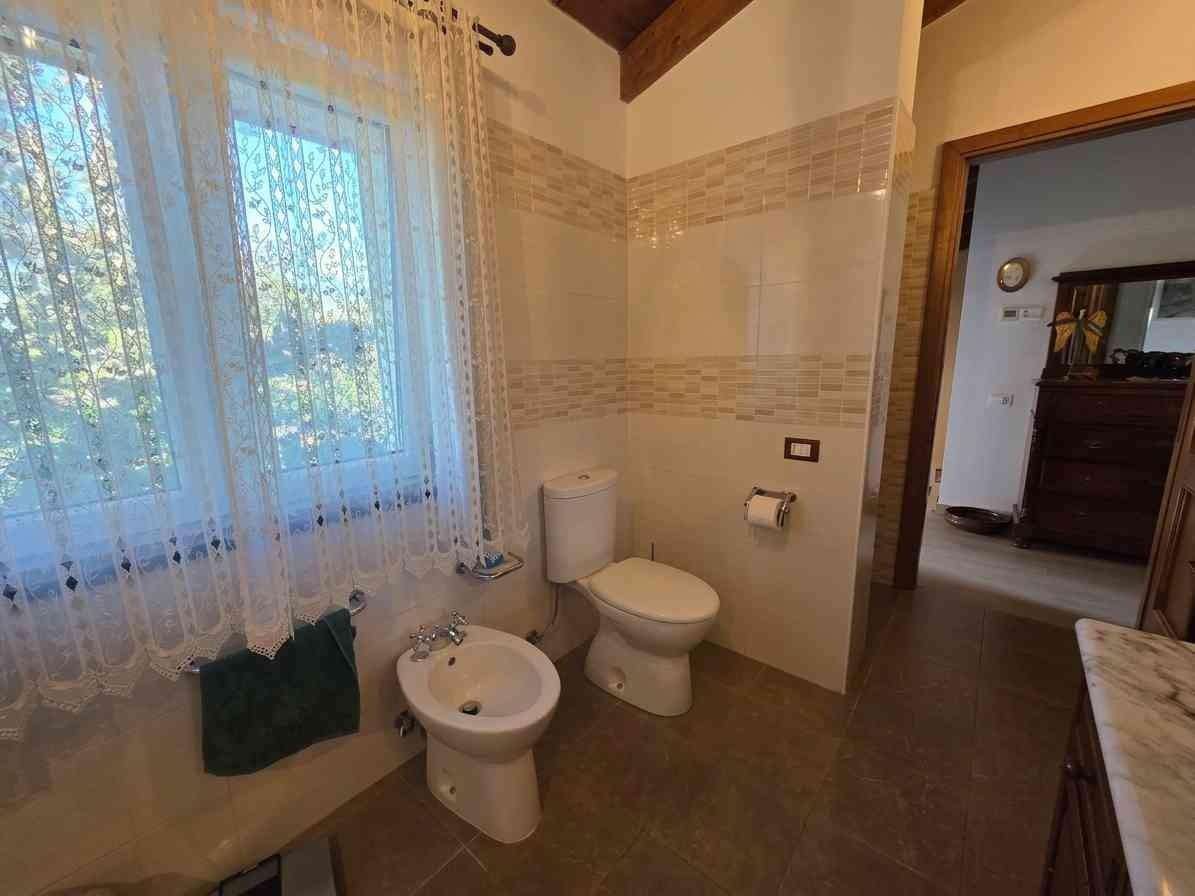  - foto 21