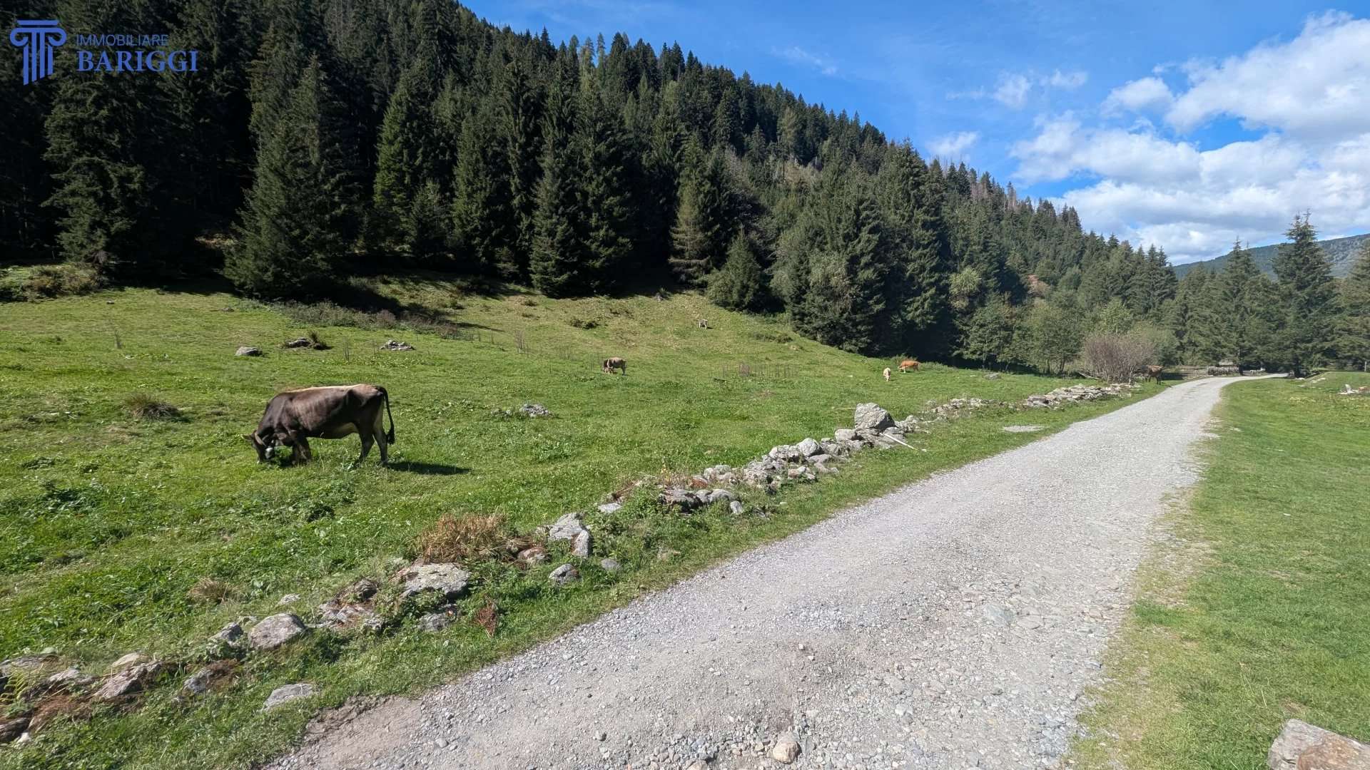  - foto 22