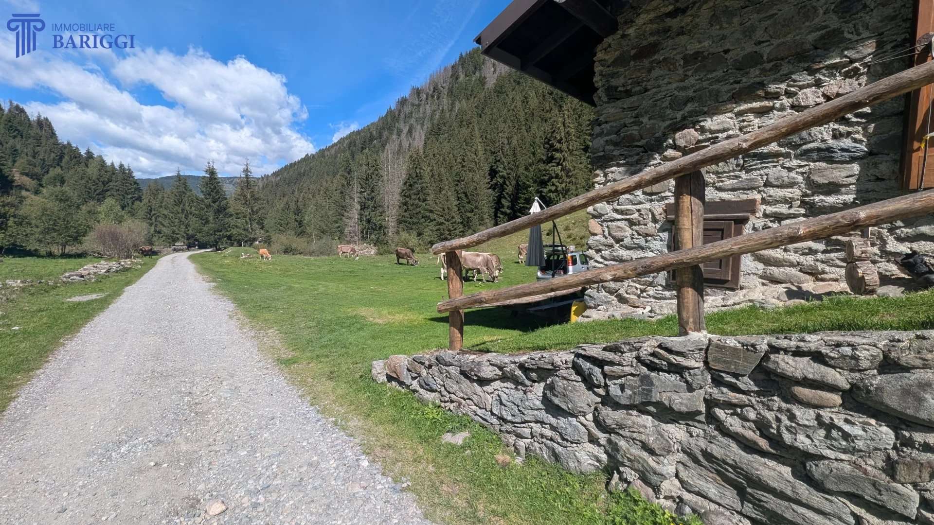  - foto 23