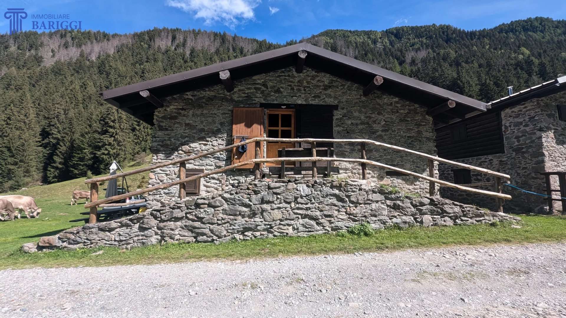  - foto 3