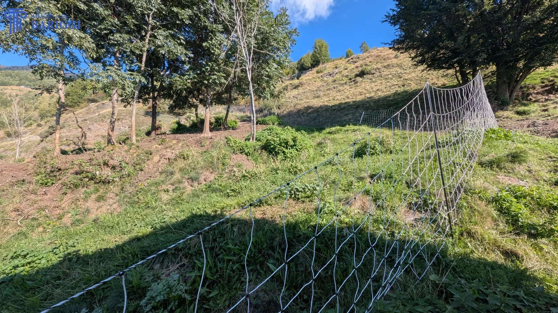  - foto 15