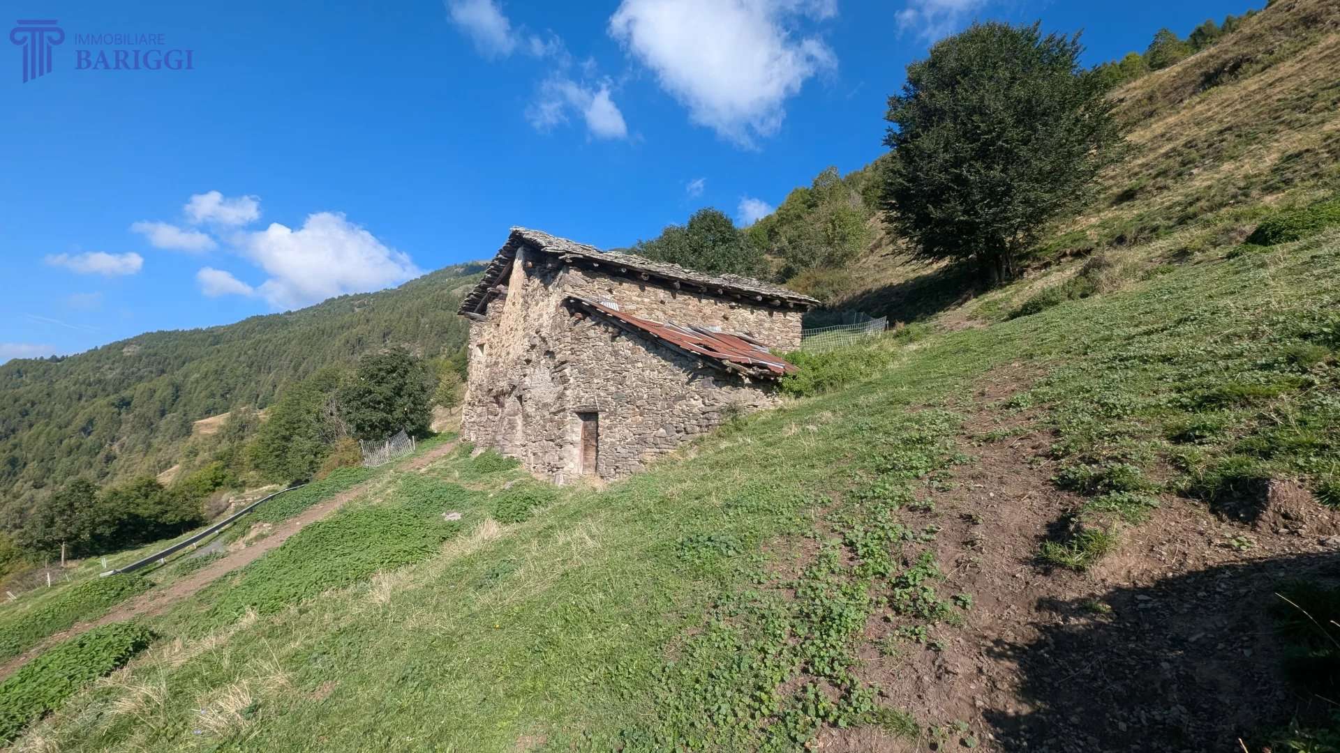  - foto 6