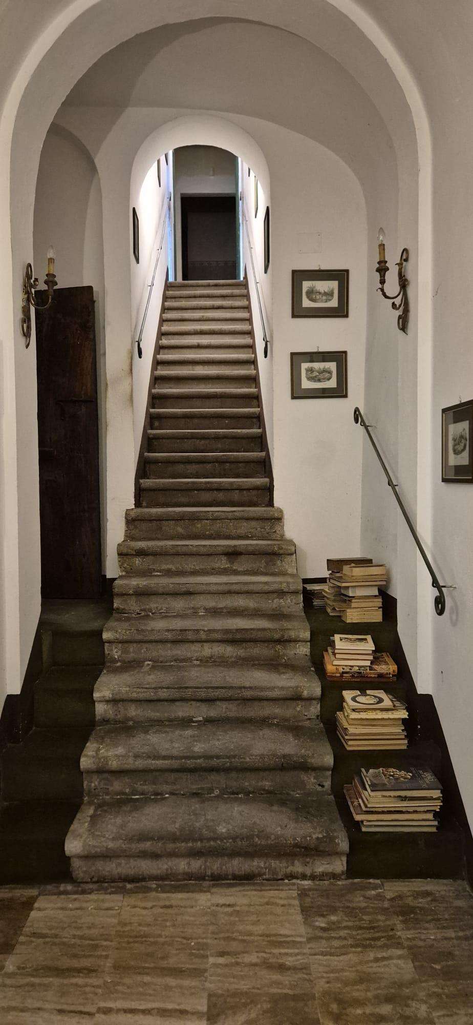  - foto 8