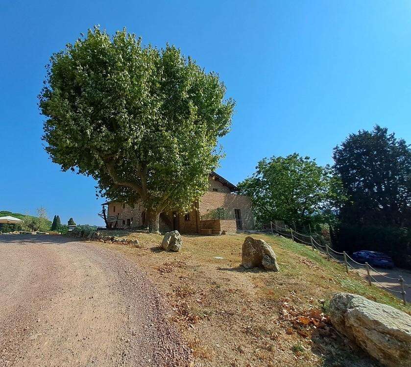  - foto 5