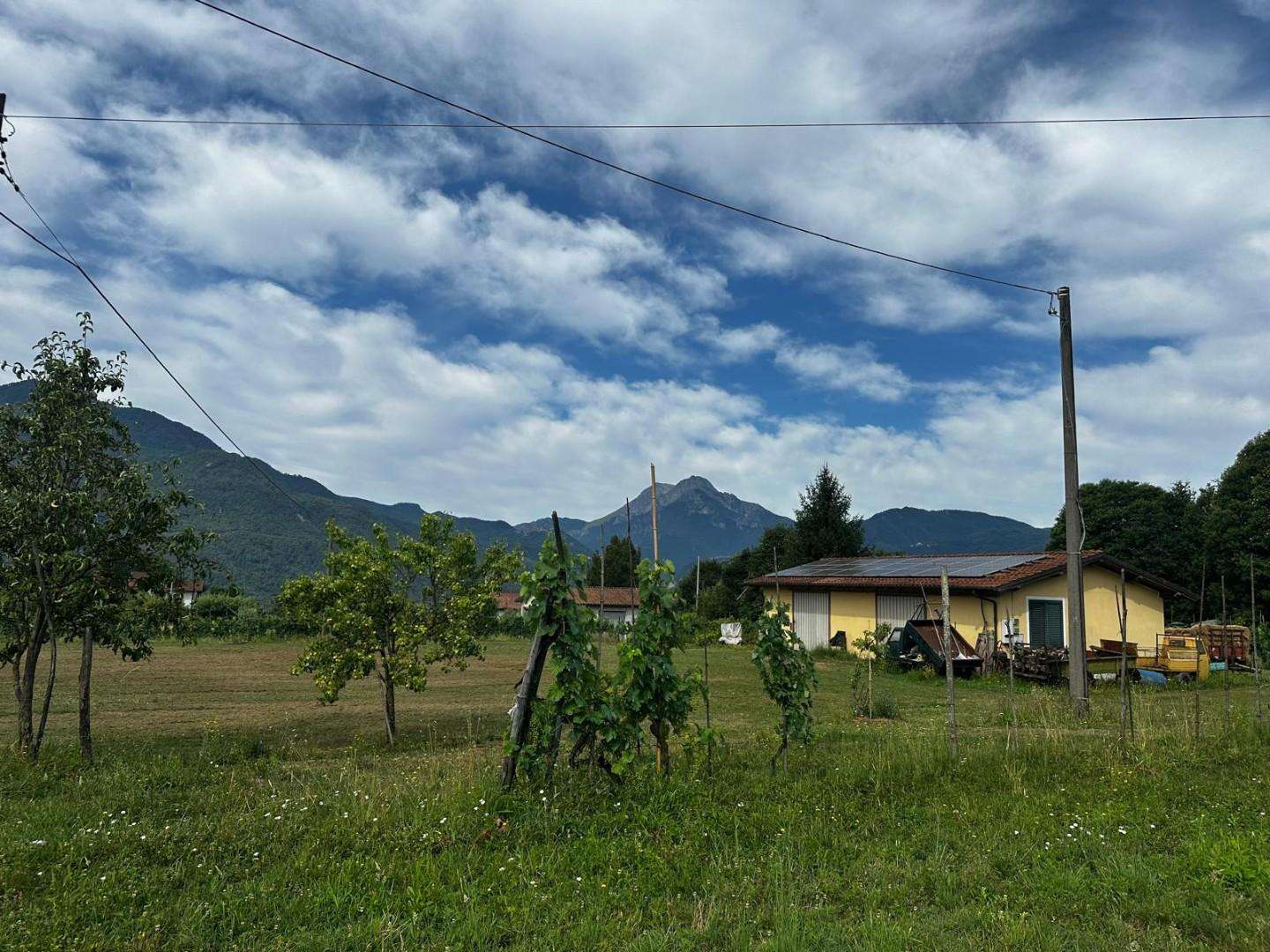  - foto 39