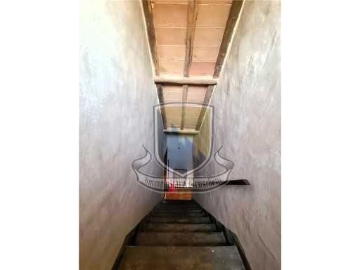  - foto 26