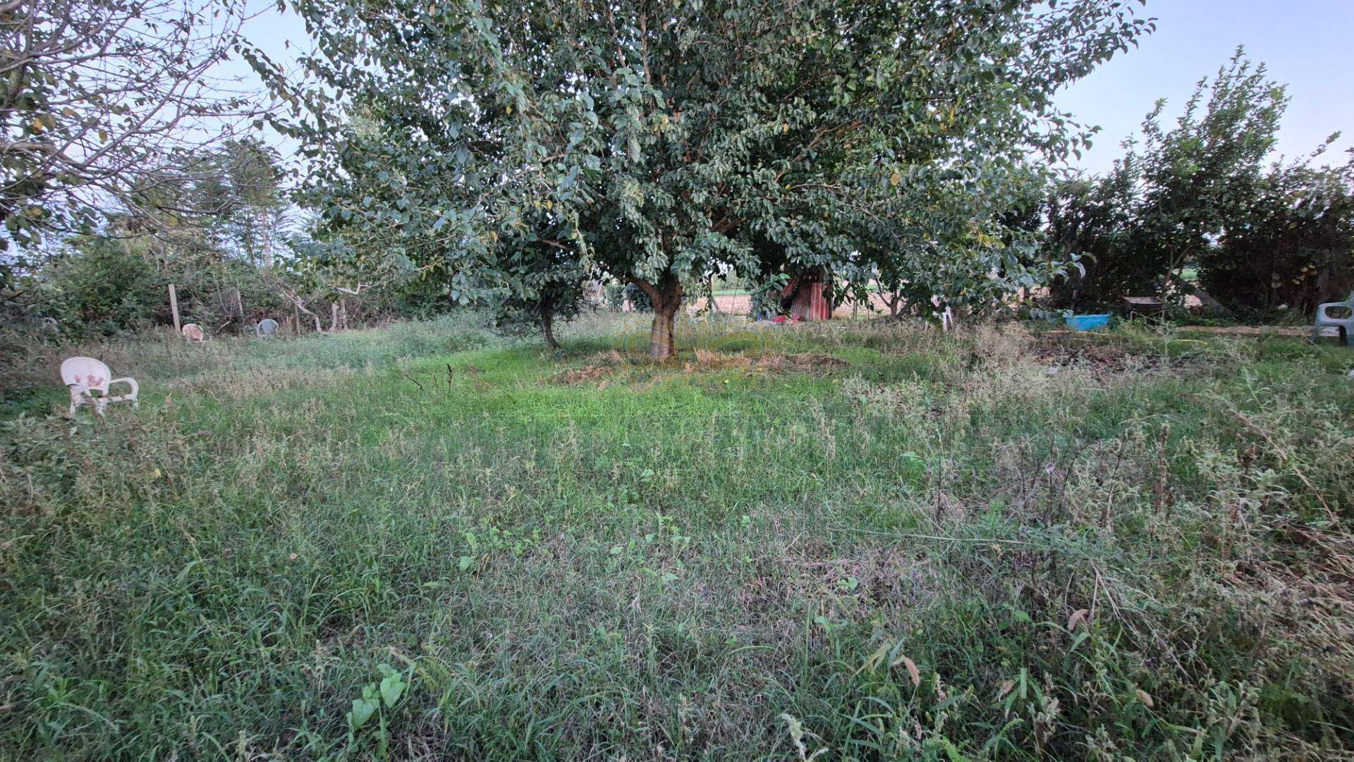  - foto 40