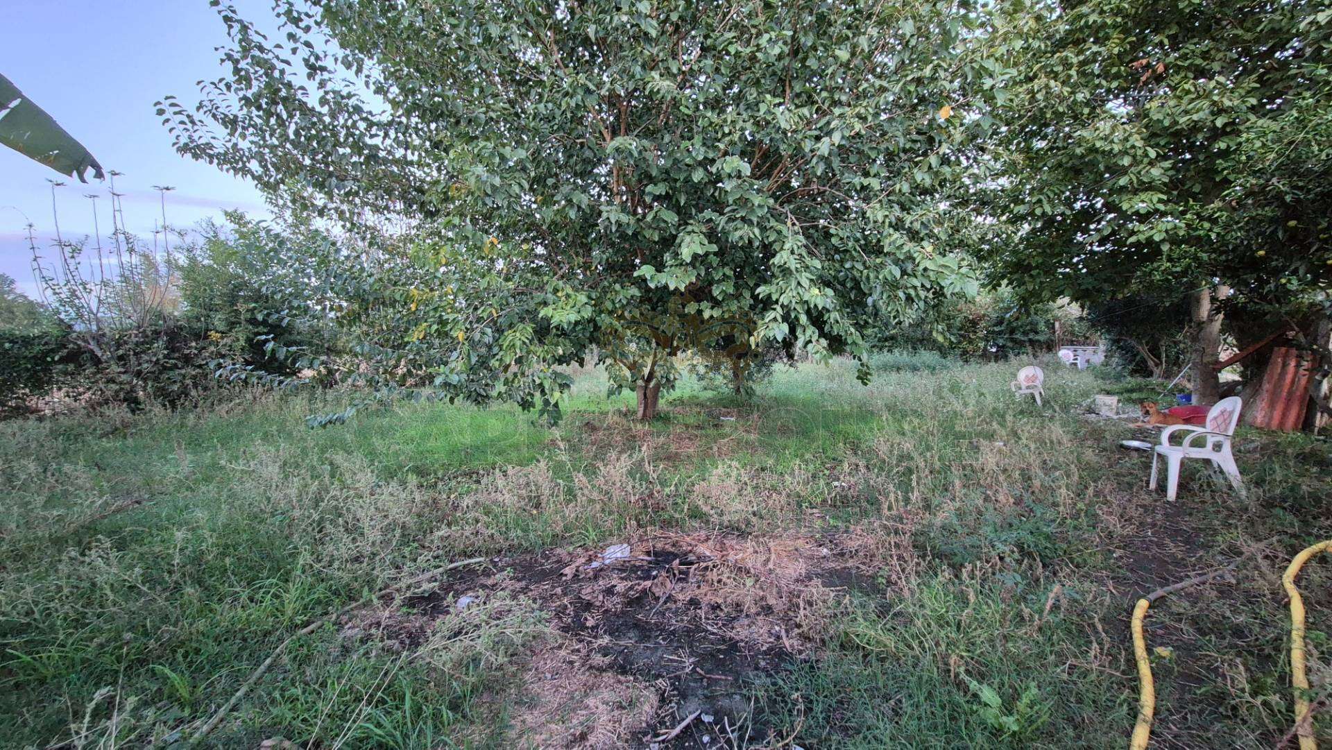  - foto 42