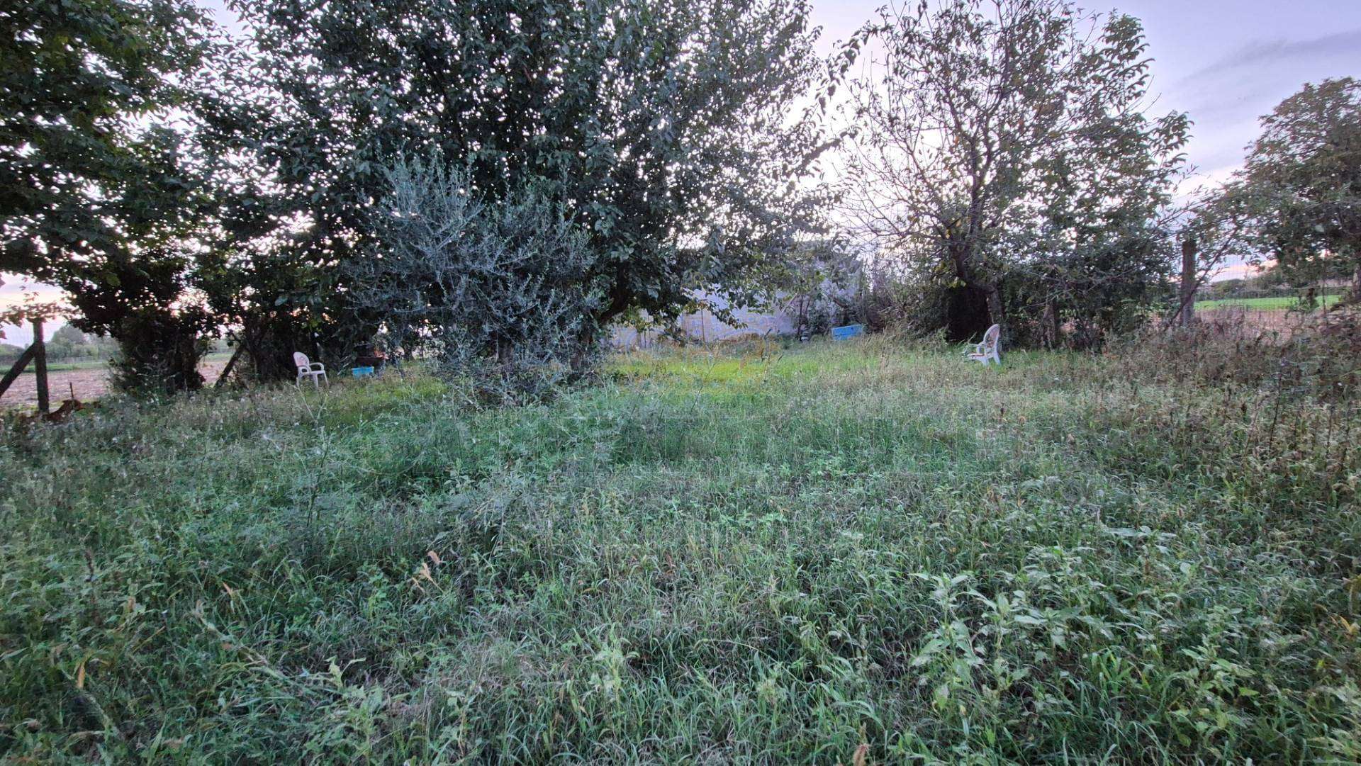  - foto 44