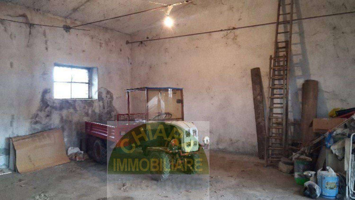  - foto 19
