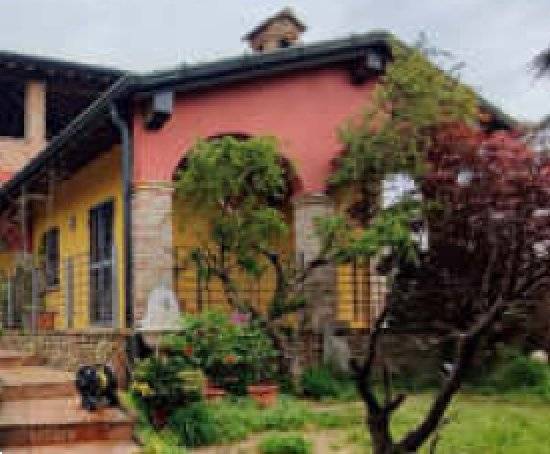  - foto 6