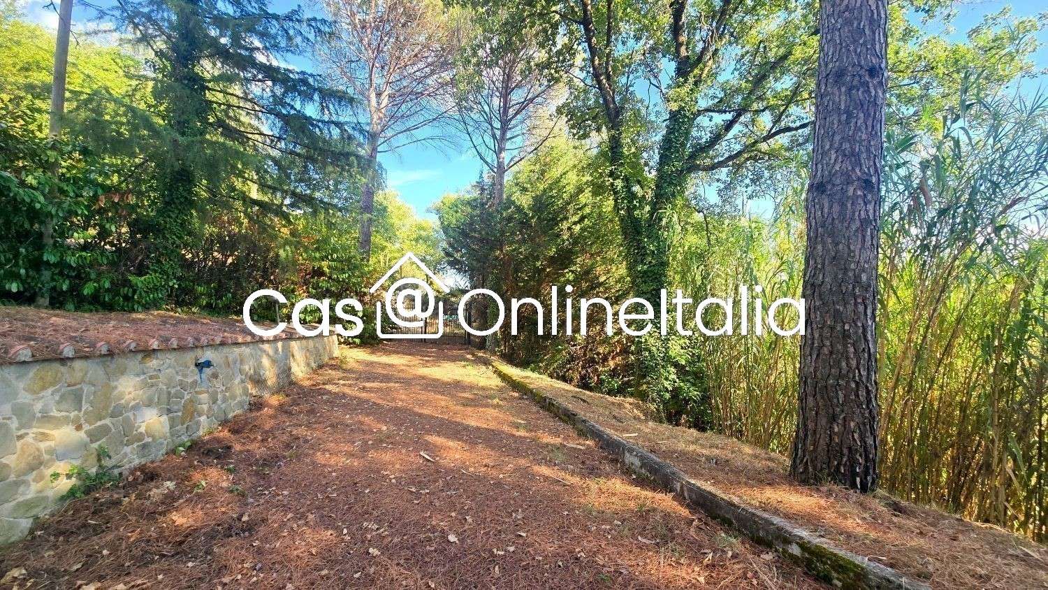  - foto 5