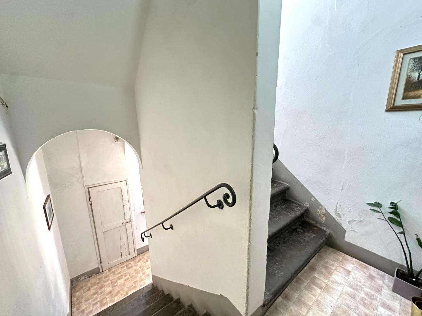  - foto 23