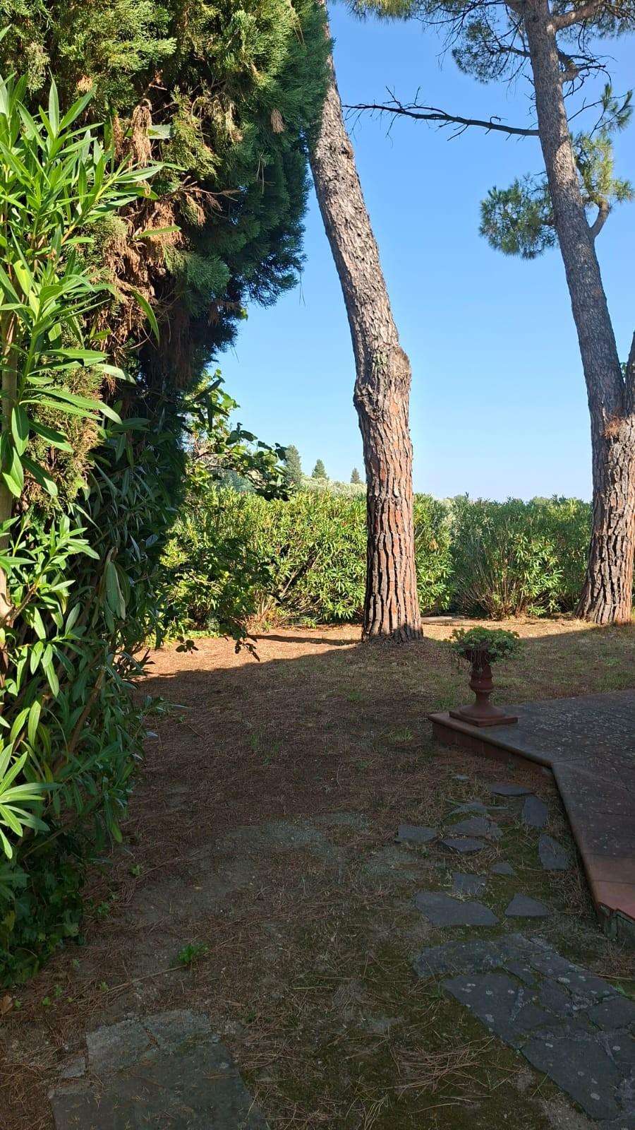  - foto 30