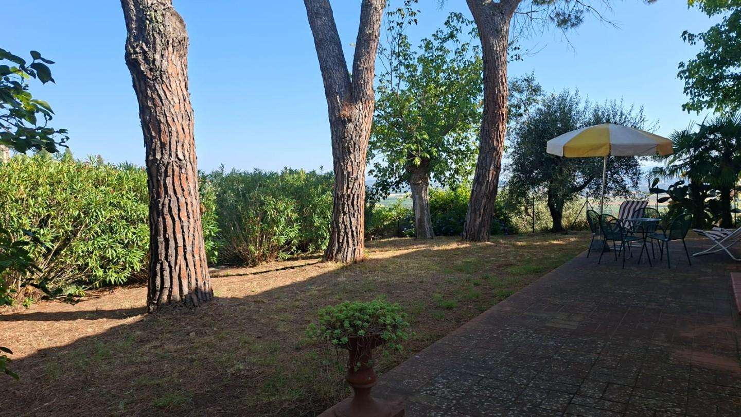  - foto 36