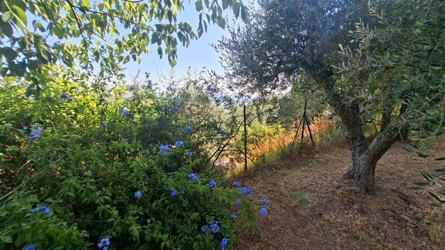  - foto 37