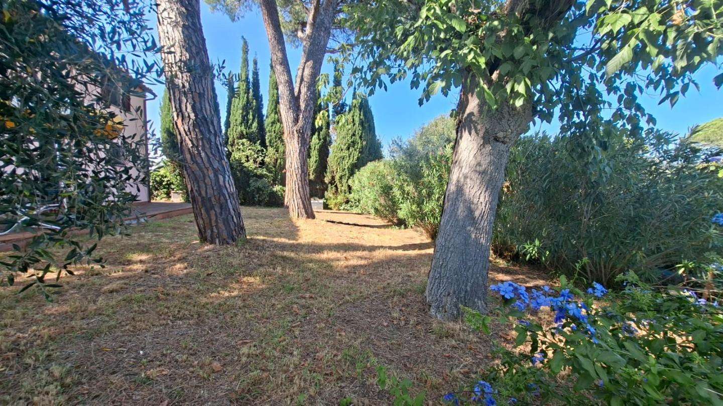  - foto 38