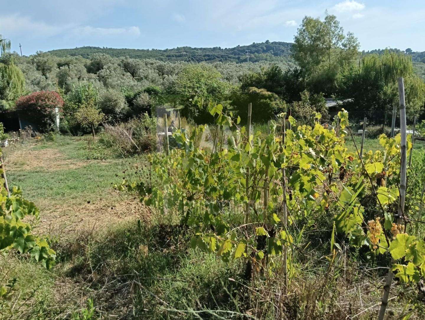  - foto 2