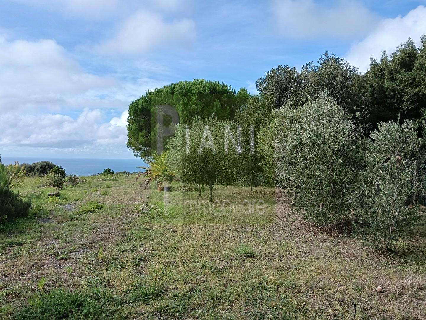 Terreno agricolo Via di Quercianella,, Livorno