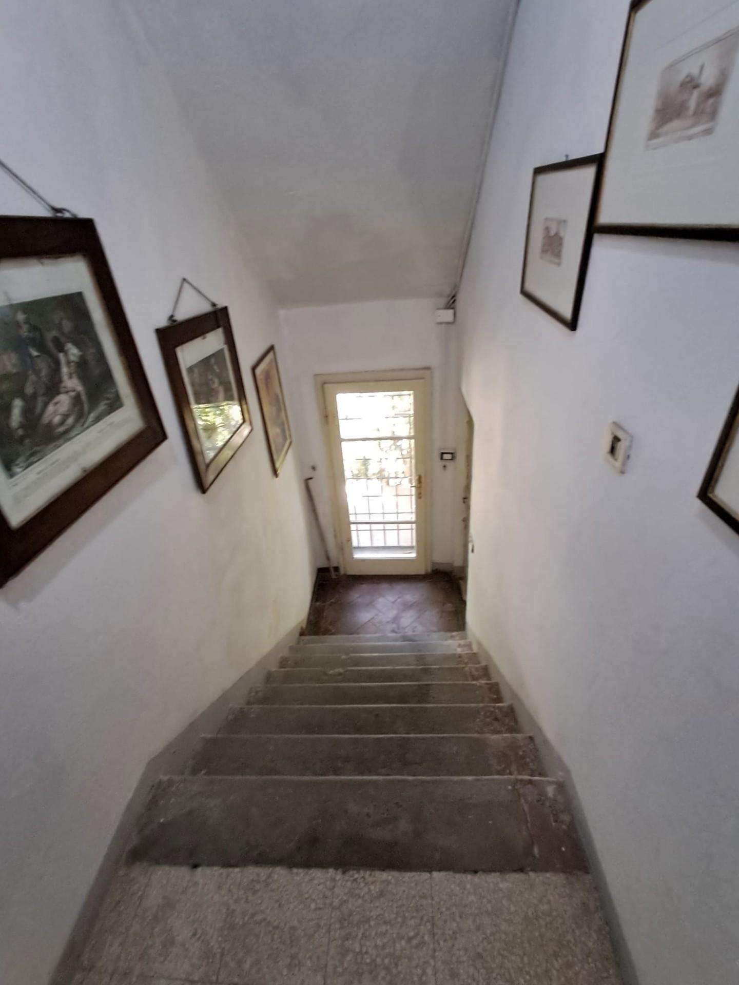  - foto 15