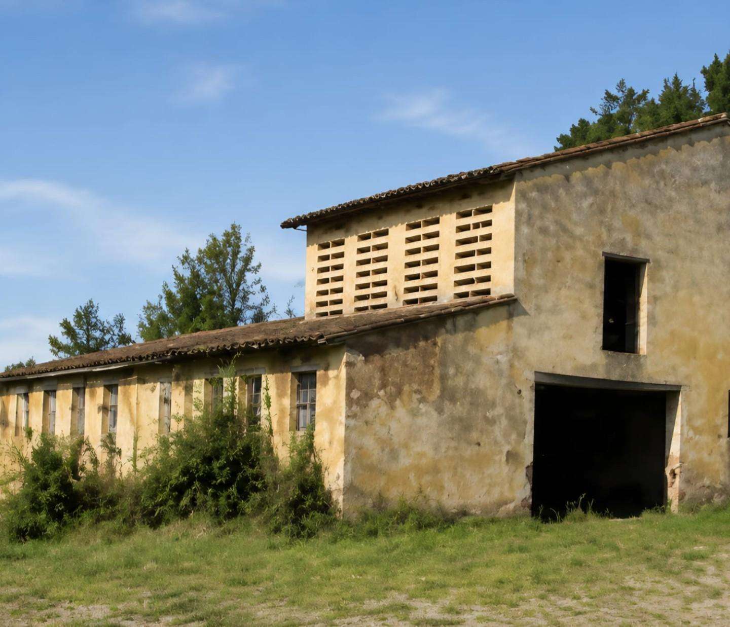  - foto 2