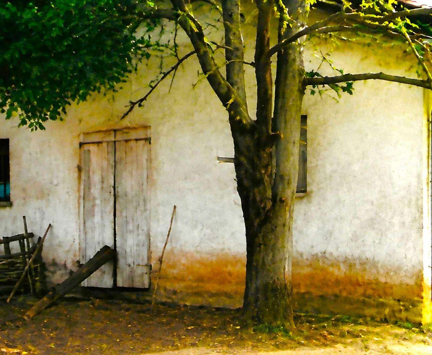  - foto 5