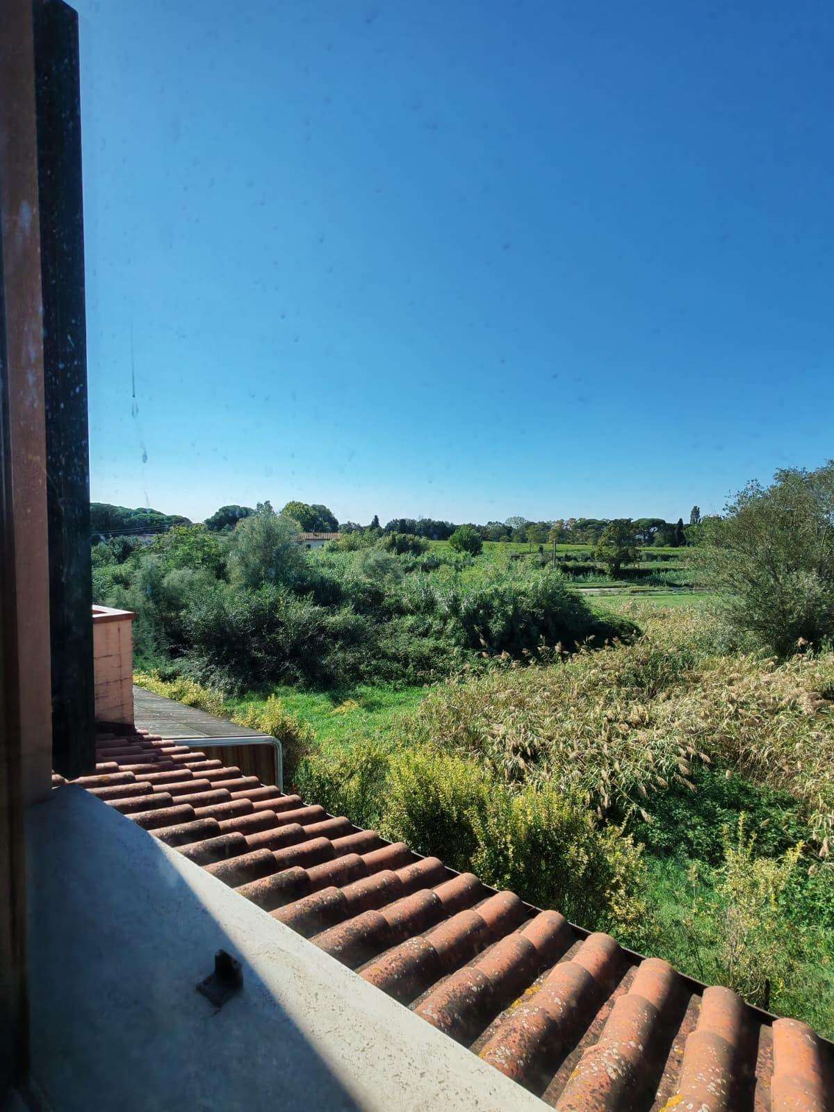  - foto 14