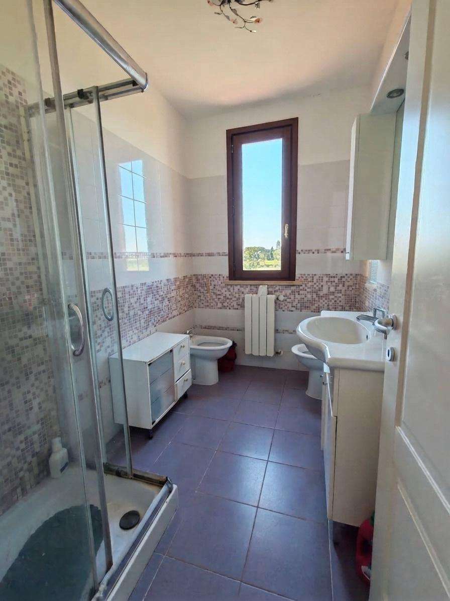  - foto 19