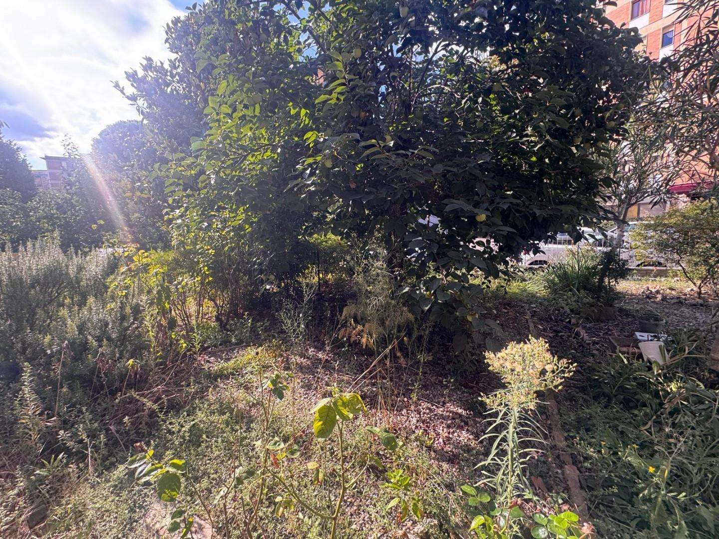  - foto 12