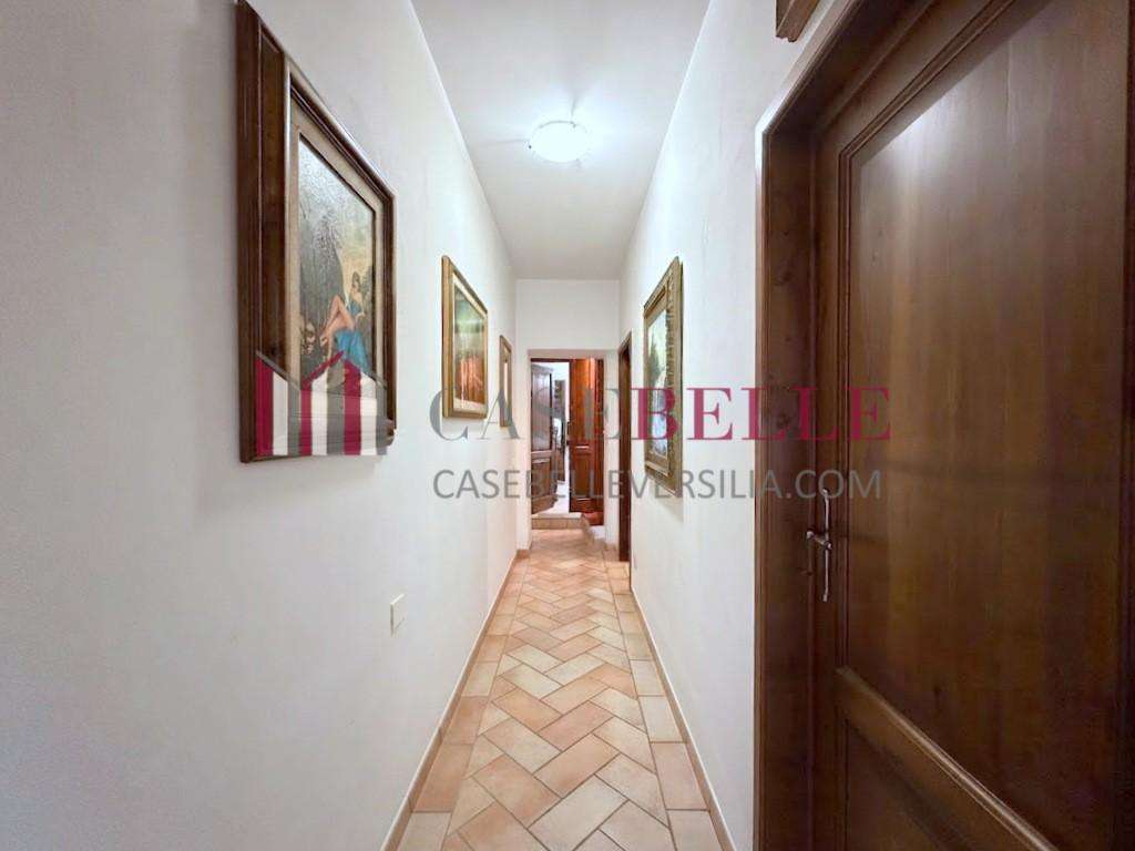  - foto 13