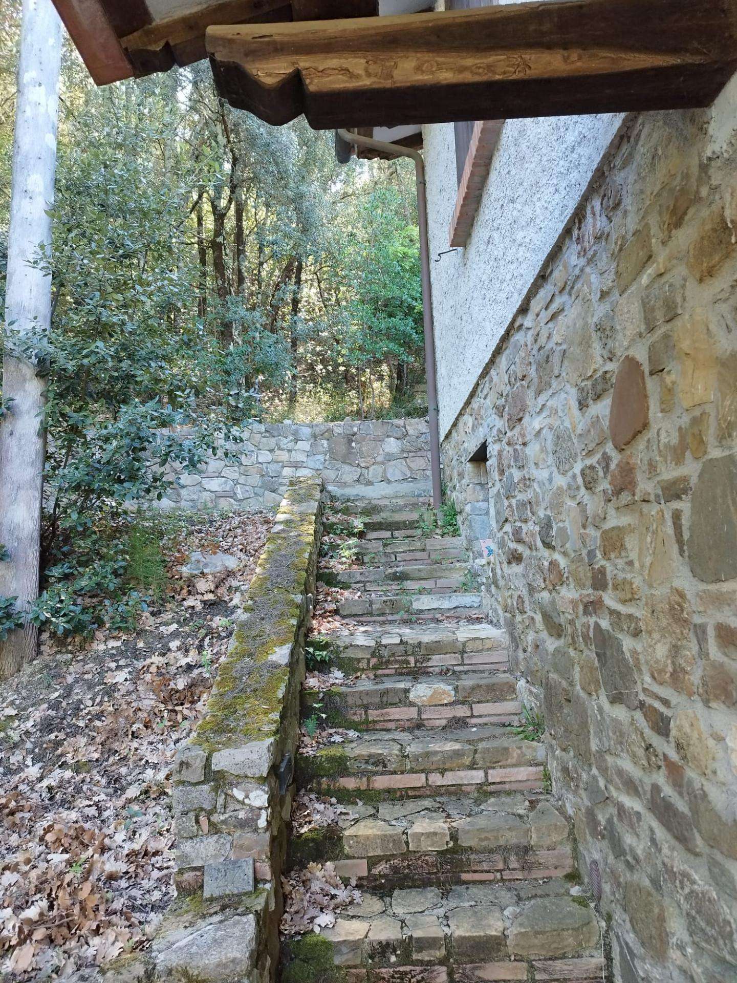  - foto 2