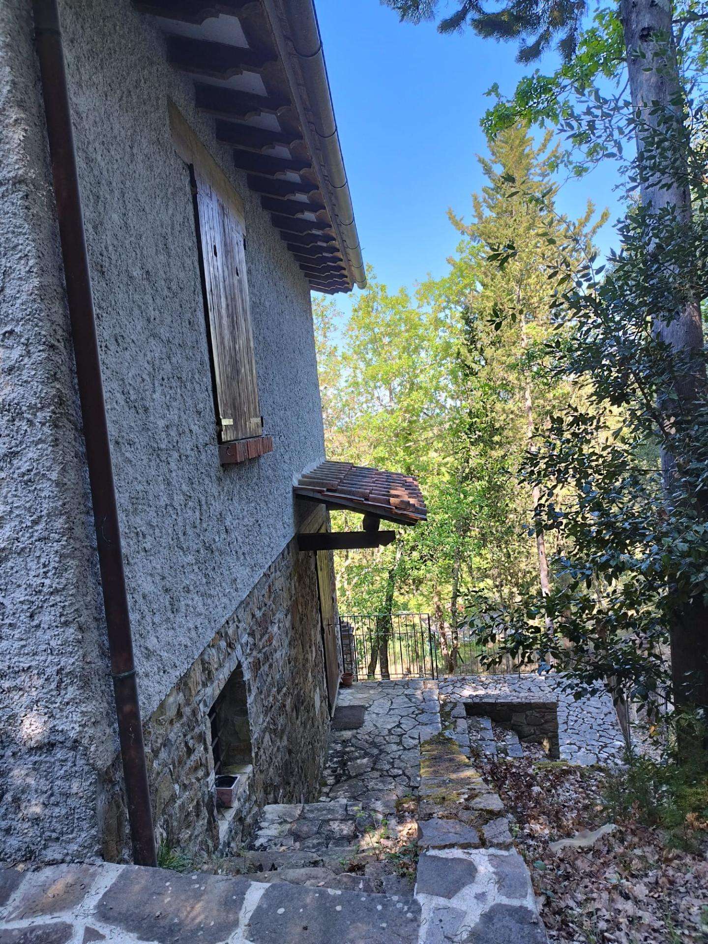  - foto 6