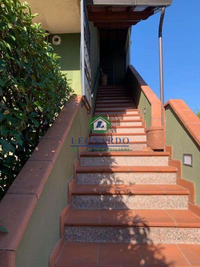  - foto 4