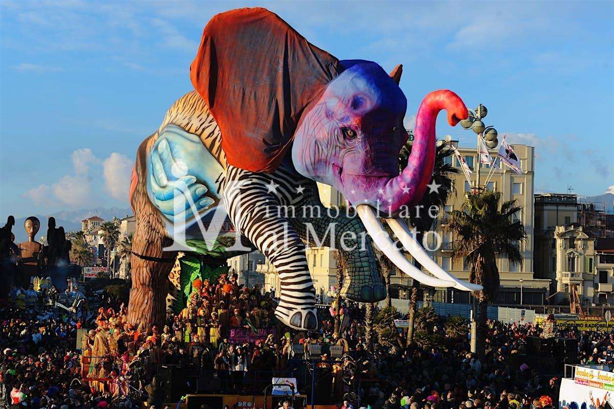  - foto 8