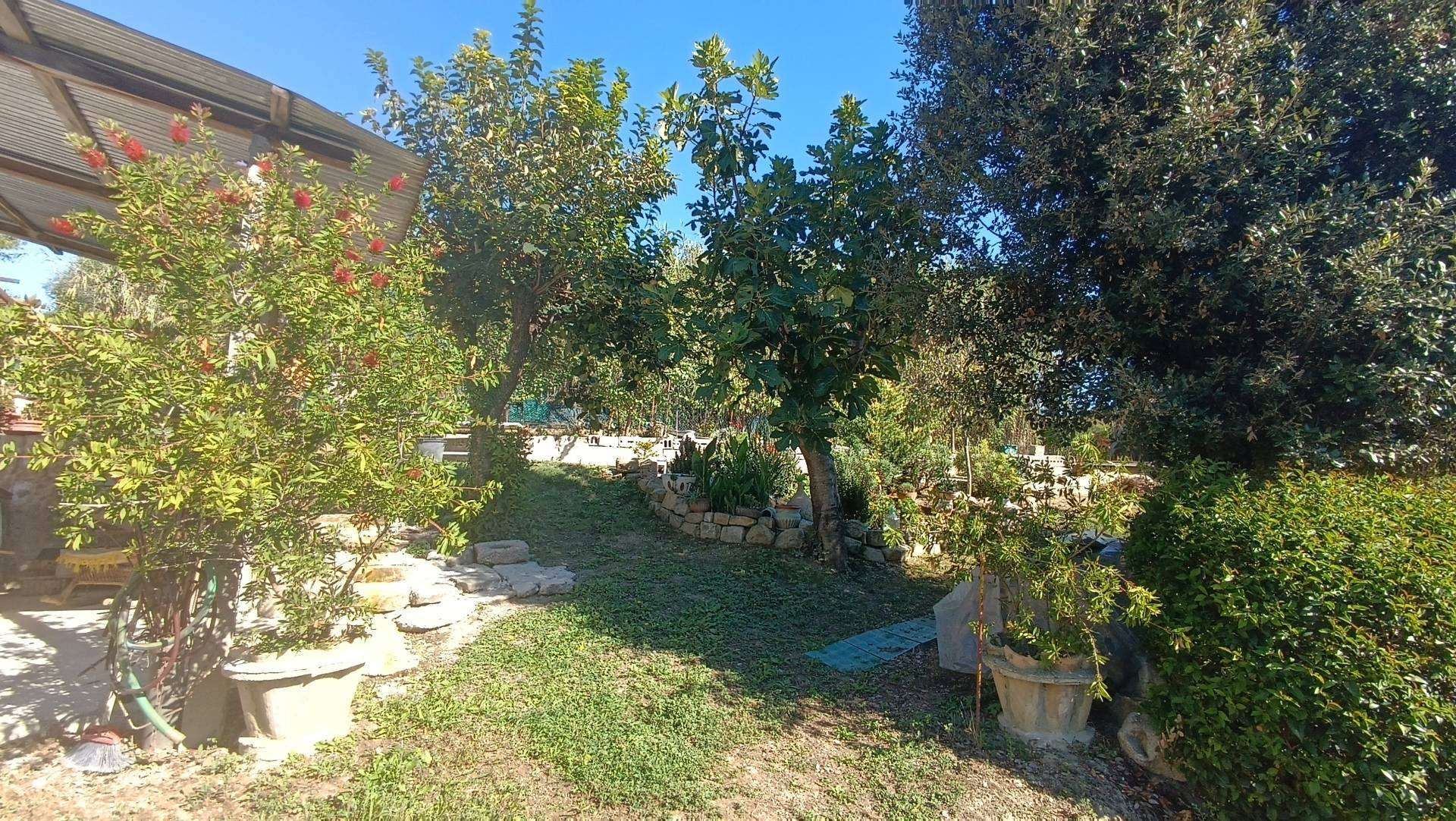  - foto 6