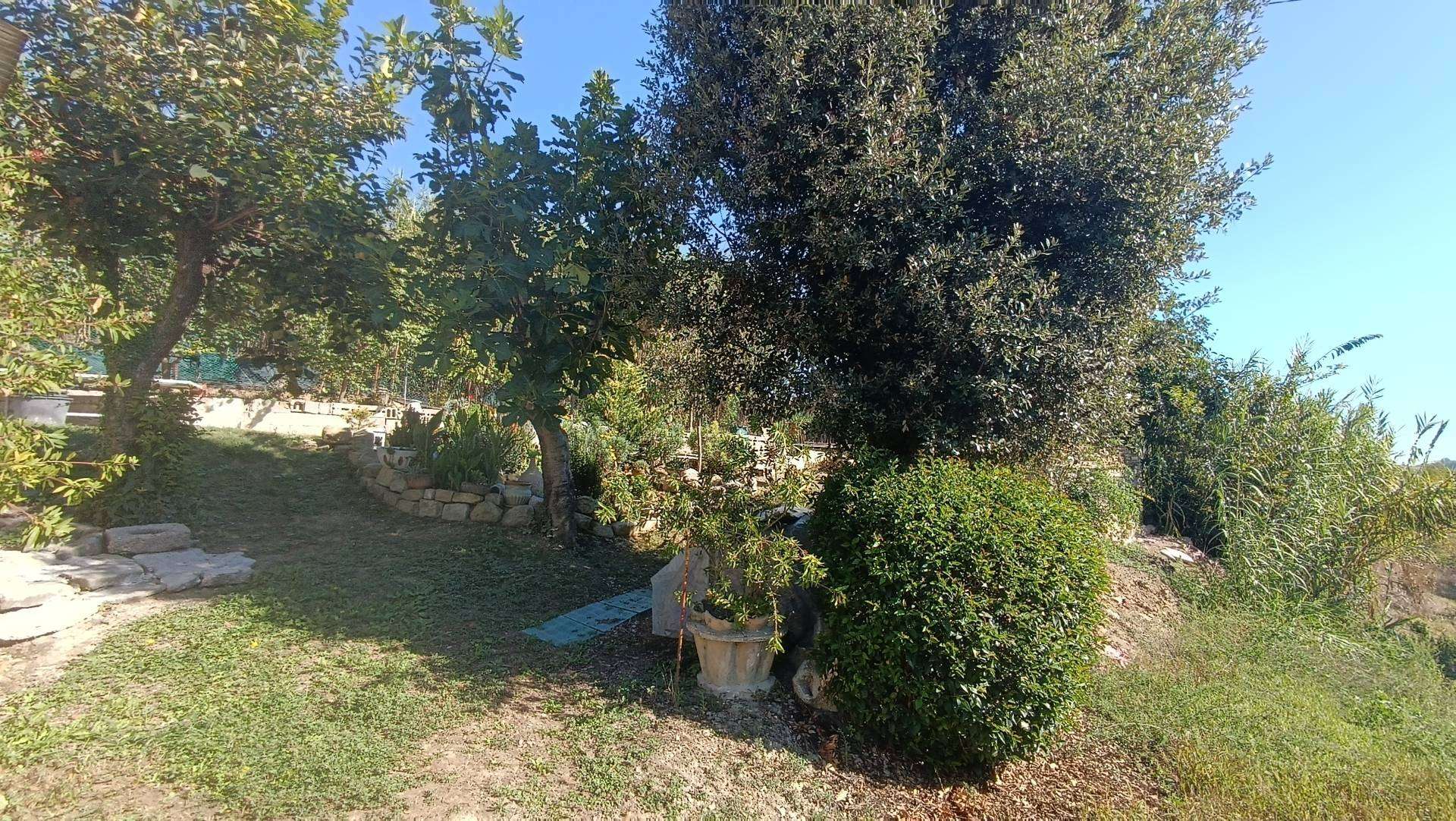  - foto 7
