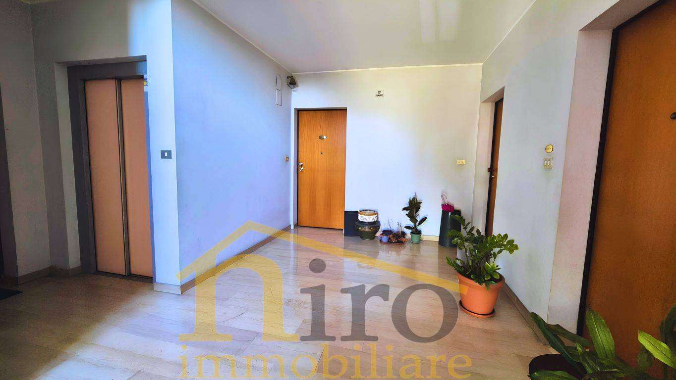  - foto 19