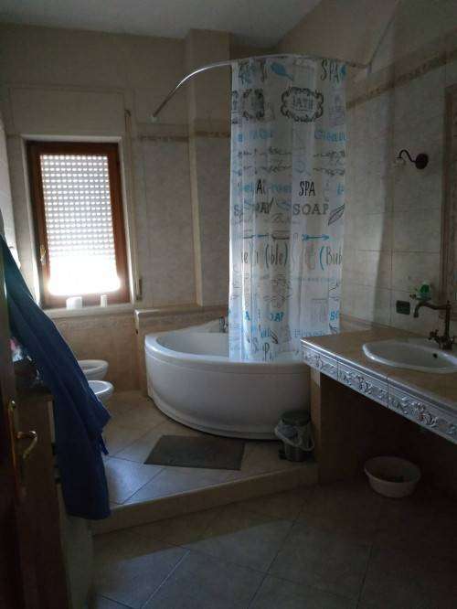  - foto 12
