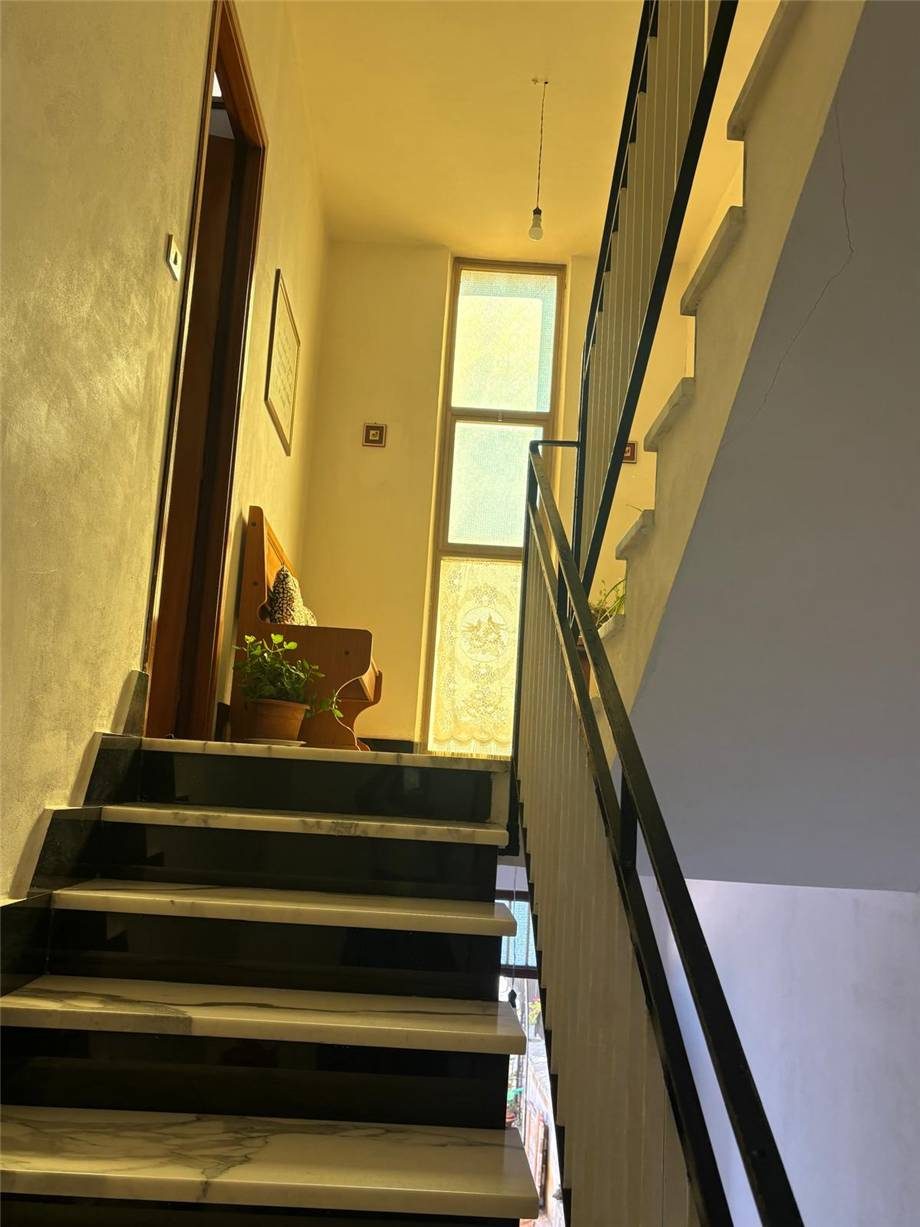  - foto 15