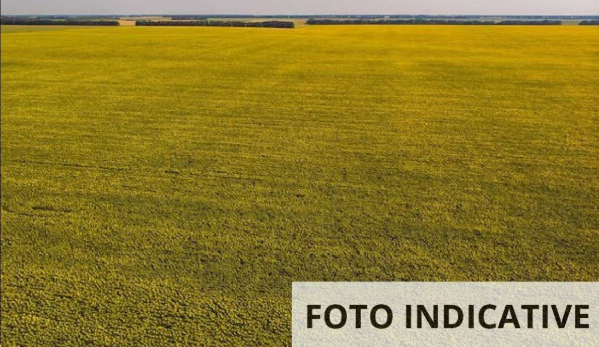  - foto 10