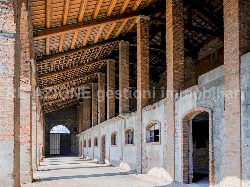  - foto 5