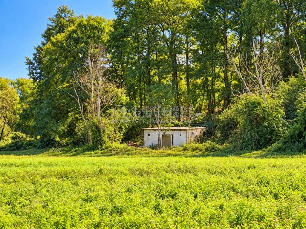 Terreno agricolo via del cimitero, Rapolano Terme
