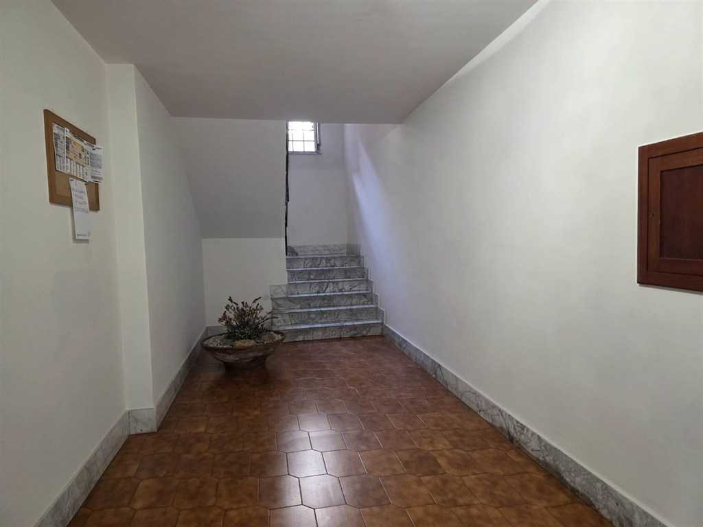  - foto 17