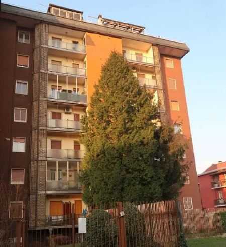  - foto 3