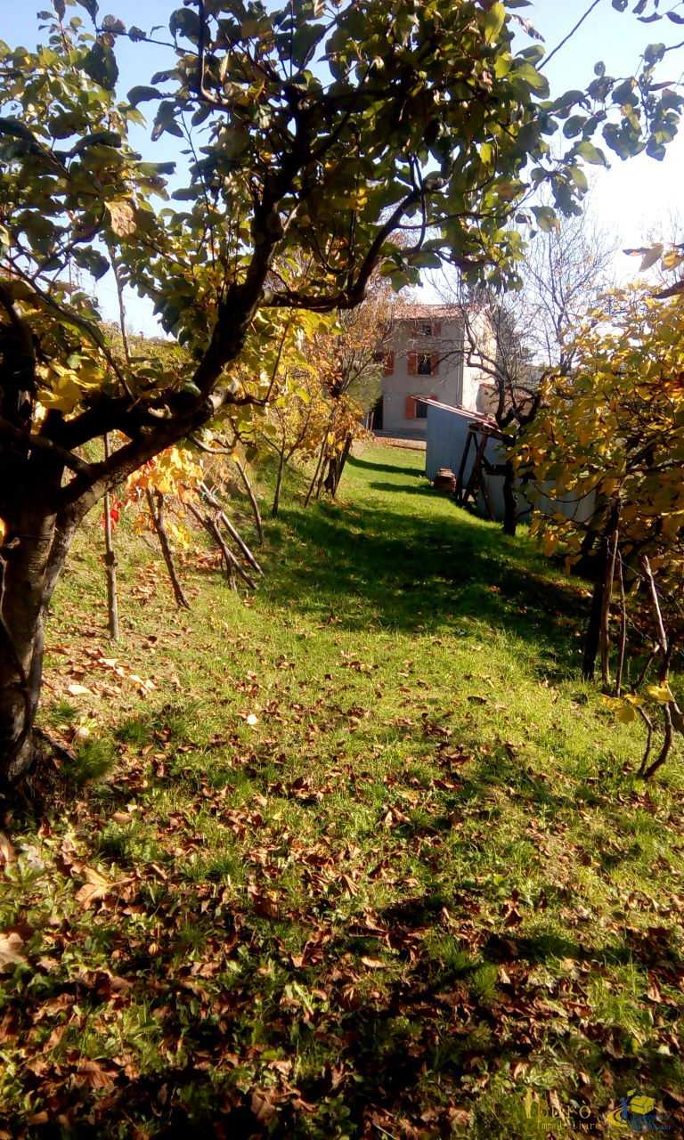  - foto 24