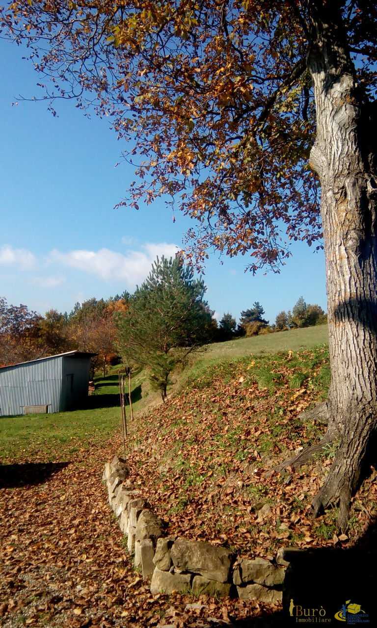  - foto 28