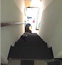  - foto 8