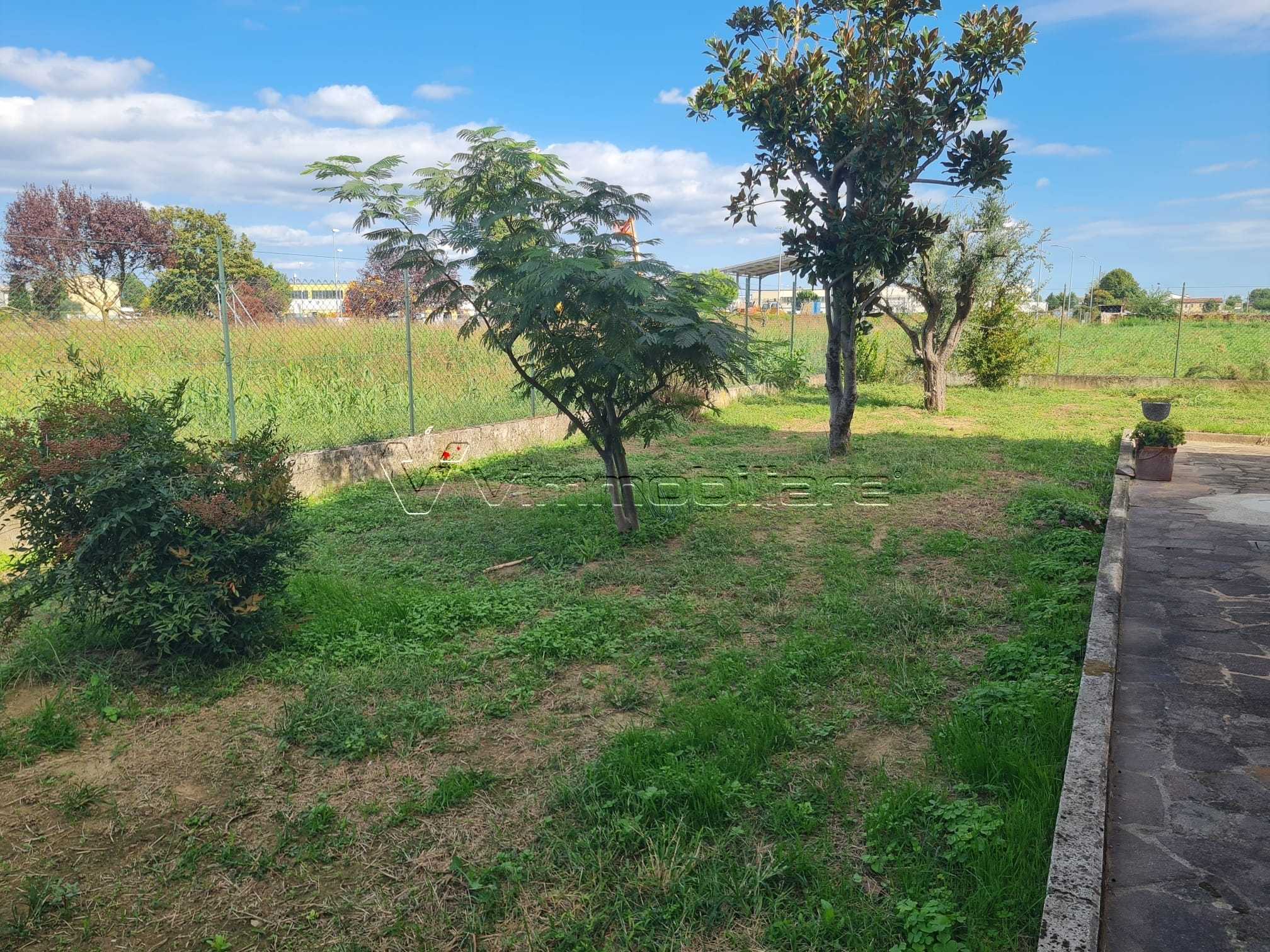  - foto 28